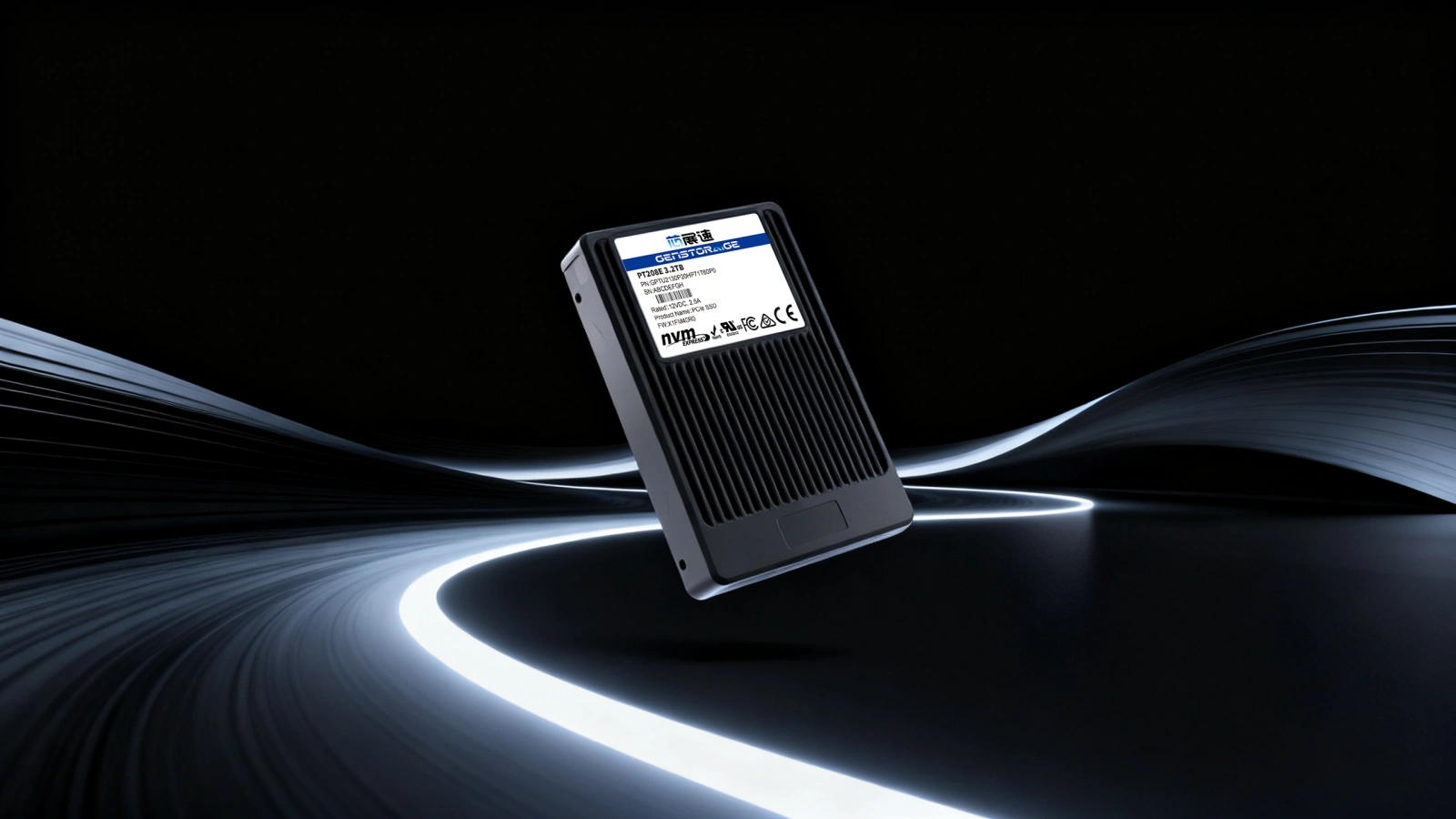 GenstorAIge PT208 enterprise SSD standard compatibility