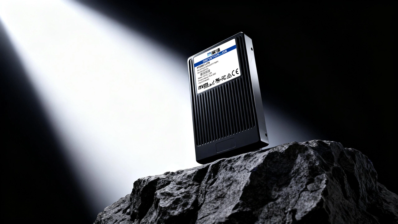 GenstorAIge PT208 enterprise SSD